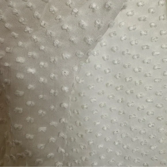 Beyond Vintage Swiss Dot V-Neck Long Sleeve Sheer Silk Top in White - Small - Picture 13 of 16